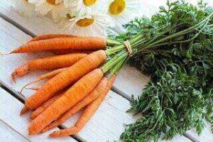 cold press juicers